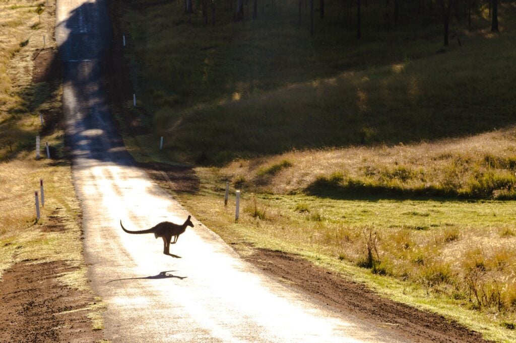 Startup Incentives in Australia