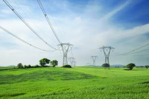 Electric Grid Utility Industry