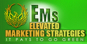 Elevation Marketing Strategies