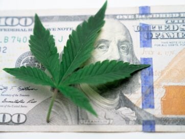 Cannabis Investment Challenges In 2023