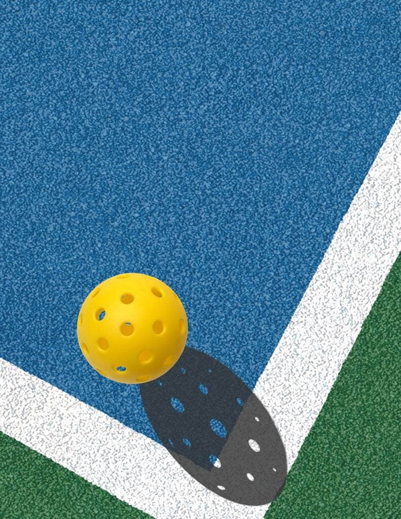 Prepare Your Business Plan for America’s Fastest Growing Sport - Pickleball