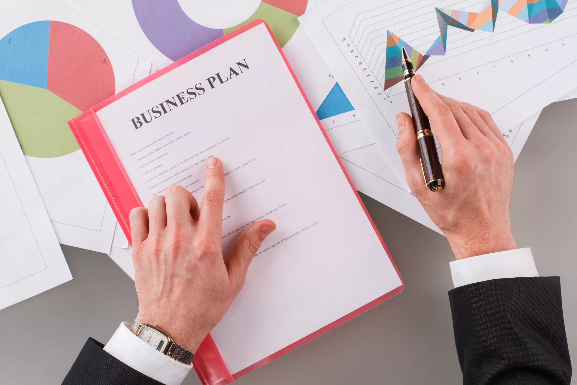 Franchise Business Plan Consultant